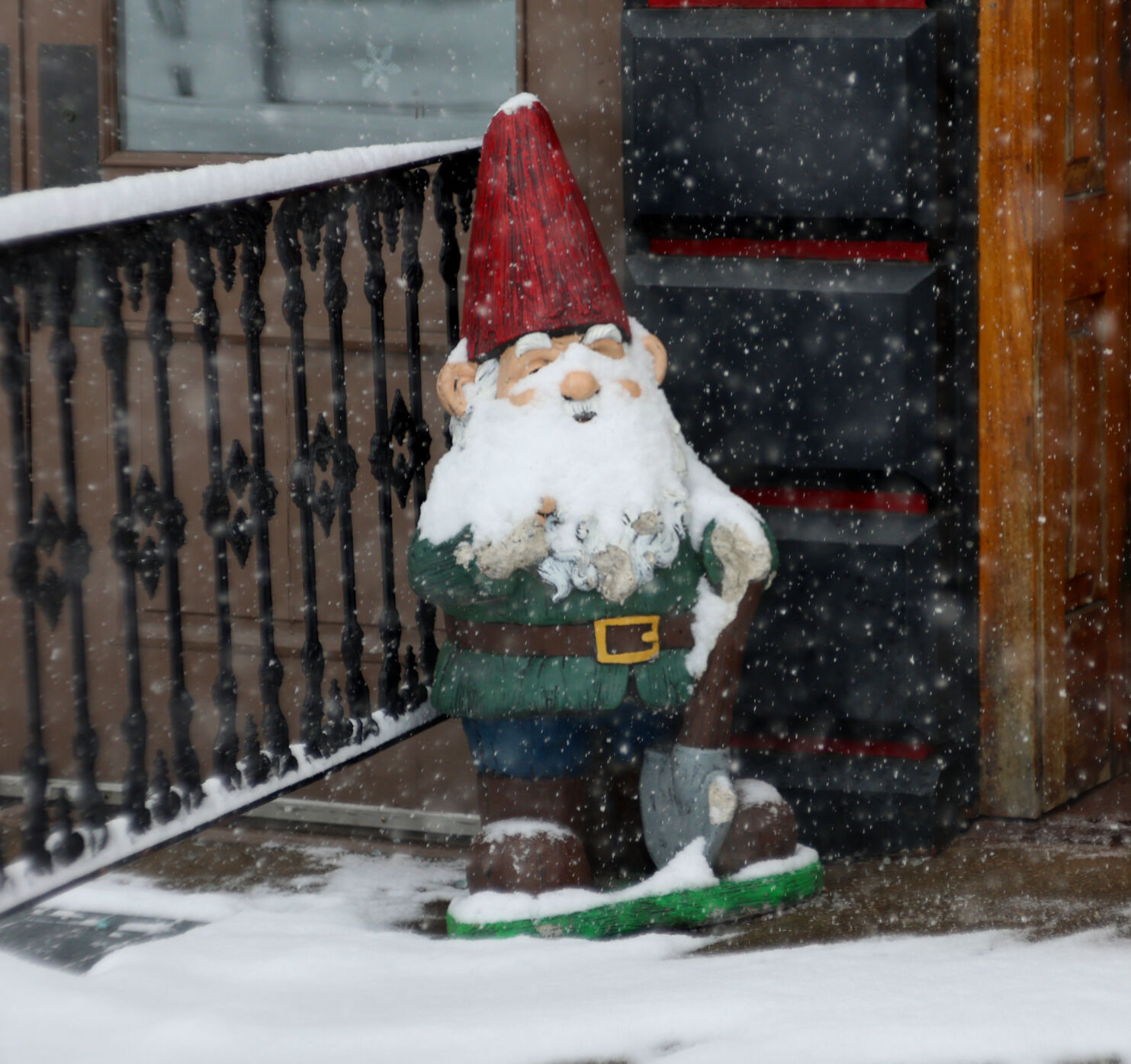 Gnome with snow in Louisville - Jan. 5, 2025.JPG